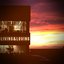 Living & Loving - Single