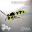 Iowa