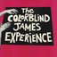 The Colorblind James Experience