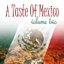 A Taste Of Mexico Vol 2