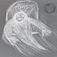 Sombre Spectre