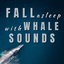 Fall asleep with Whale Sounds