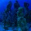 Once Earth Is Full, Humans Will Walk Beneath The Cold Seas