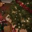 most wonderful time of year