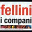 Fellini (Live at the Bimhuis Amsterdam and Lux Nijmegen)
