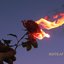Ikhtilaf - Single