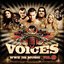 Voices: WWE The Music Vol. 9