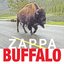 Buffalo (Disc 2)