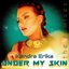 Under My Skin (The Remixes)