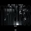 Timeless (Remix) [feat. Playboi Carti] - Single