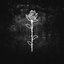 Everest - Single