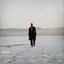 Fields - Single