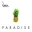 Paradise - Single