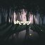 moonshadow - Single