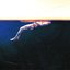 No Love (Drown)