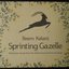 Sprinting Gazelle - Palestinian Songs from the Motherland and the Diaspora