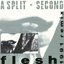 Flesh (1991 remix)