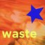 Waste