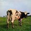 Atom Heart Mother (Domestic Only)