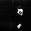 juliapekarova 的头像