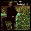 Latebird