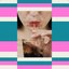 Cigarette