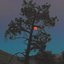Aurora Eclipse