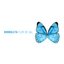 Borboleta - Single