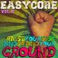 Easycore Vol. II:  Raise Your Fist and Stand Your Ground