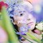 Petal