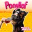 PONYHOF