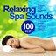 Best 100 Relaxing Spa Sounds (Gentle Instrumental Melodies and Pure Nature Sounds for Relaxation, Meditation, Healing Massage, Sound Therapy, Stress Relief, Good Sleep)