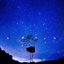 Sakura Shooting Star