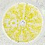 Echo (+3db)