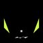 NIGHT OF