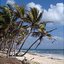 Caribbean Dream