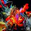 Banksia EP