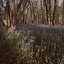 through the riverbeds