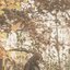 Livet ut (Dopvisan) - Single