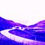 Fields of Iris