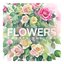 Flowers - Single