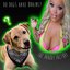 Do Dogs Have Brains? (feat. Trisha Paytas)