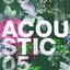 Acoustic 05