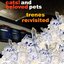 trenes Re:visited