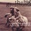 Girls on Sheep