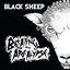 Black Sheep
