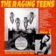 The Raging Teens Vol. 2