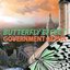 Butterfly Effect