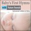 Baby's First Hymns With Nature Sounds: Instrumental Lullabies for Babies