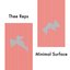 Minimal Surface